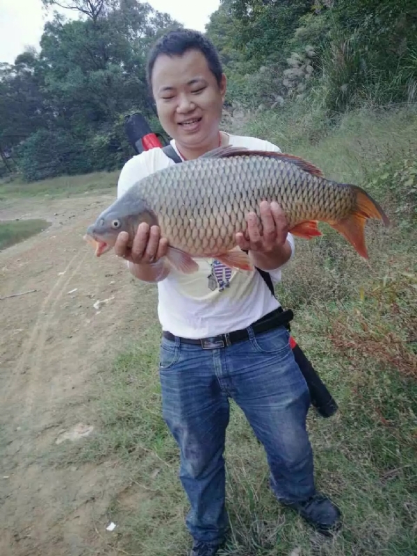 迷路的男人的第一张照片--靖州交友中心